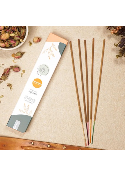 Buddha Blessing Aromalı Vedic Çubuk Tütsü