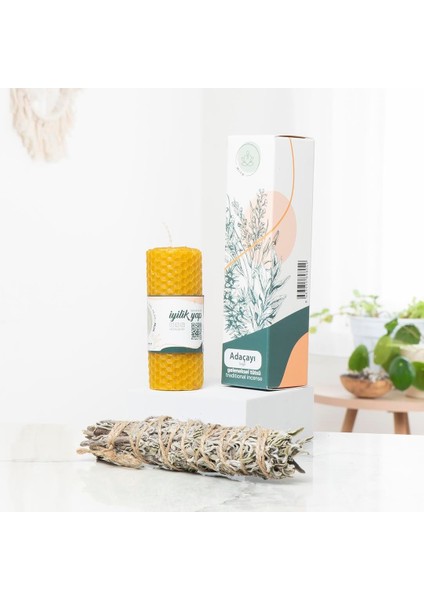 Rishi Balmumu Mum & Demet Tütsü Seti fiyatları