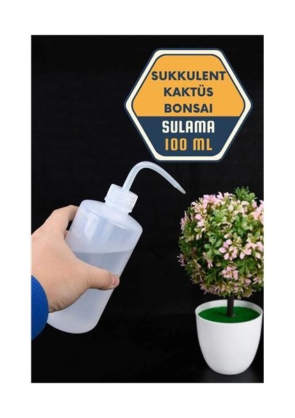 Bx Sukkulent Kaktüs Bonsai Sulama Şişesi