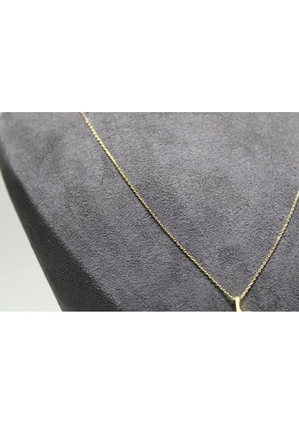 14 Ayar Altın L Harfi Kolye Zinciriyle Beraber modelleri