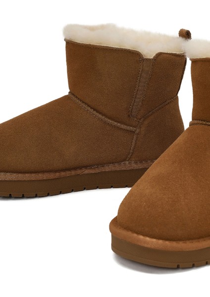 Kadın Camel Süet Deri Teddy Bot 25WFD478110