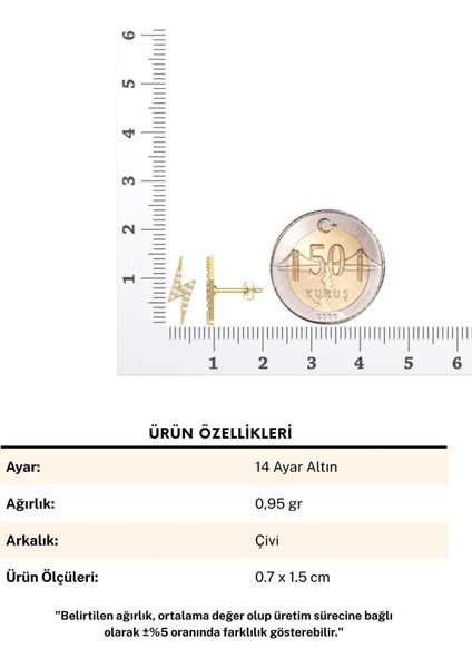 Minik Şimşek 14 Ayar Altın Küpe fırsatları