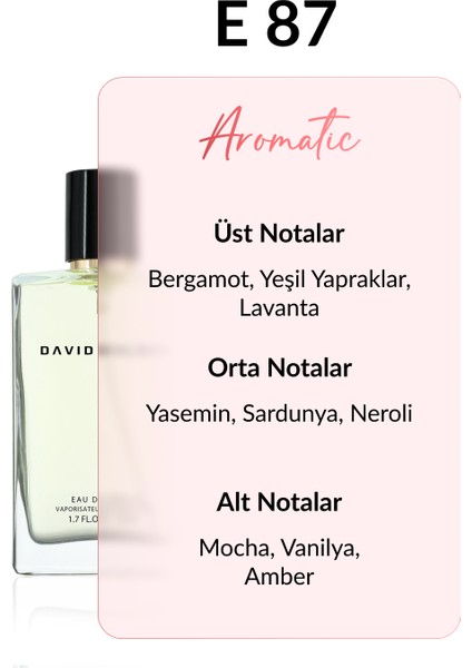 E87 Diegor 50 ml Erkek Parfüm | Aromatic fiyatları
