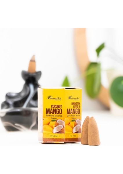 Mango & Hindistan Cevizi Geri Akışlı Şelale Tütsü
