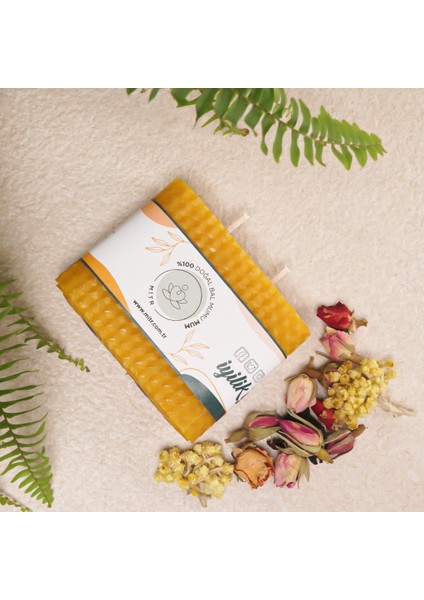 Basık Organik Balmumu Mum