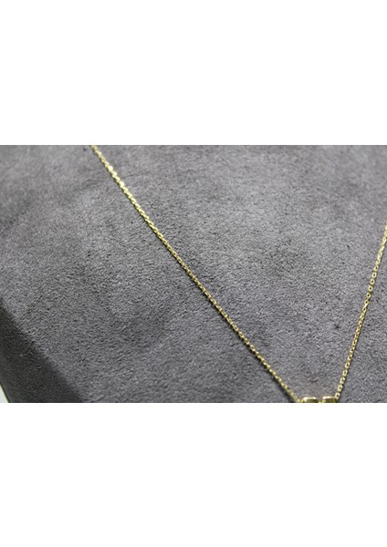 14 Ayar Altın M Harfi Kolye Zinciriyle Beraber modelleri