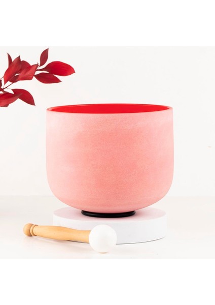 Red Kristal Quartz Kase (Inside) fiyatları