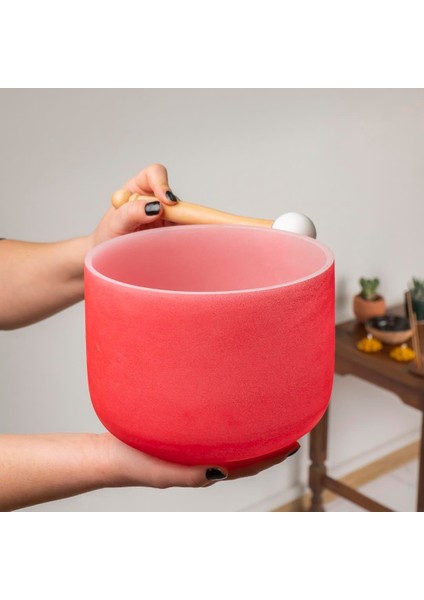 Red Kristal Quartz Kase (Outside) modelleri