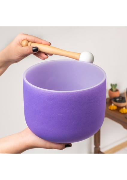 Purble Kristal Quartz Kase (Outside) fiyatları