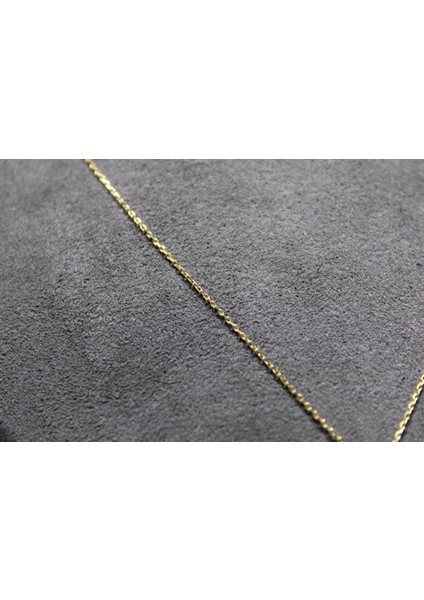 14 Ayar Altın L Harfi Kolye Zinciriyle Beraber modelleri