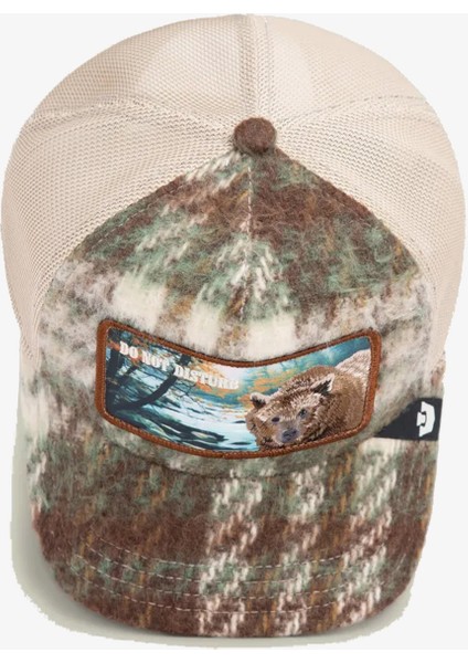 Don't Poke The Bear Unisex Renkli Şapka.plaıd indirimleri