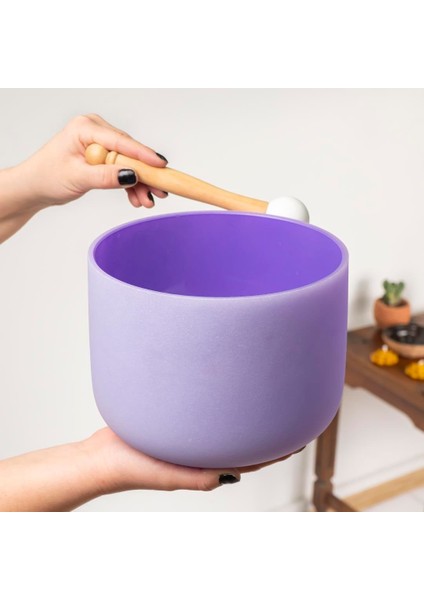 Purple Kristal Quartz Kase fiyatları