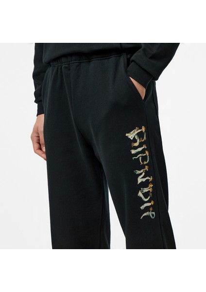 Is This Real Life Erkek Siyah Eşofman Altı.blk fırsatları