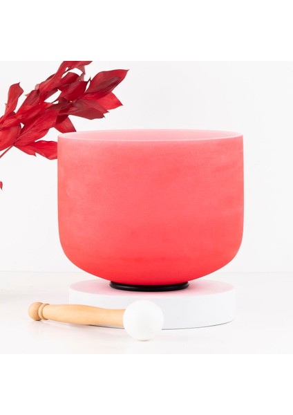 Red Kristal Quartz Kase (Outside) fiyatları