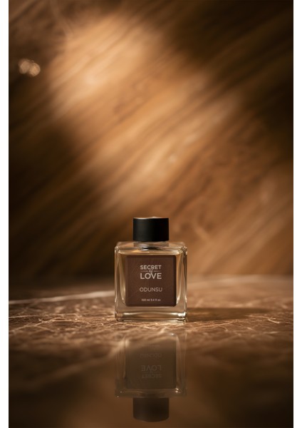 Çubuklu Oda Kokusu Odunsu 100 ml fiyatları