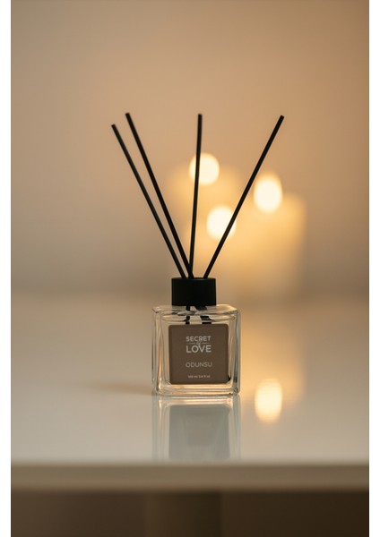 Çubuklu Oda Kokusu Odunsu 100 ml fırsatları