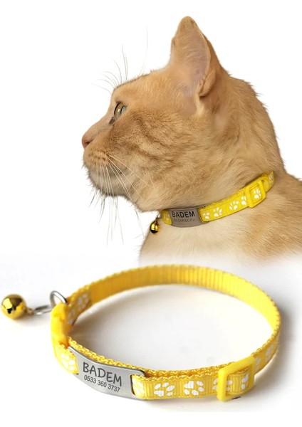 Sallanmayan Kedi Tasması Metal Isimlikli