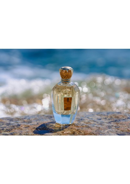 Iris (Dior Miss Dior Muadili) Eau De Parfum Kadın Parfüm 100ML fiyatları