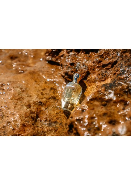 Iris (Dior Miss Dior Muadili) Eau De Parfum Kadın Parfüm 100ML modelleri