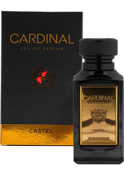 Castel (Paco Rabanne One Million Muadili) Eau De Parfum Erkek Parfümü 100 ml fiyatları