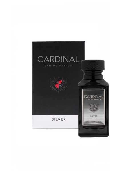 Silver (Paco Rabanne Invictus Muadili) Eau De Parfum Erkek Parfümü 100 ml fiyatları