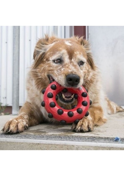 Dotz Halka Sesli Köpek Oyuncağı Large Siyah/kırmızı 15 cm fiyatları