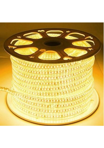 Hortum LED Günışığı ( 1 Metre )