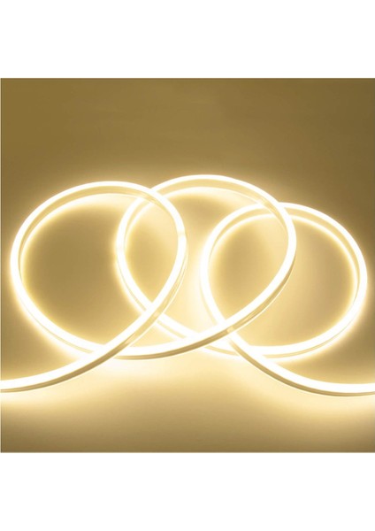 Inoled 12V Neon Günışığı 5mt / Paket 6X12MM İNO-4342-08G