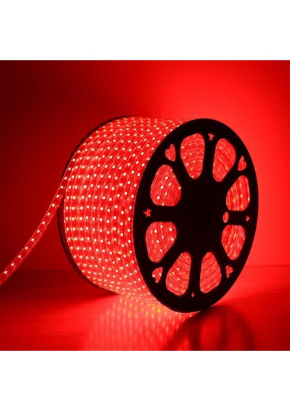 Hortum LED Kırmızı ( 1 Metre )