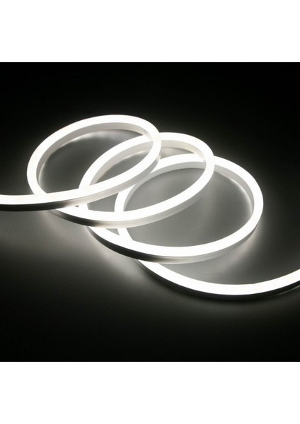 12V Neon Beyaz 5mt / Paket 6X12MM OKE-1212B