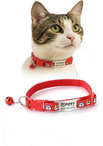 Sallanmayan Tasma Künye Isimli Kedi Tasması