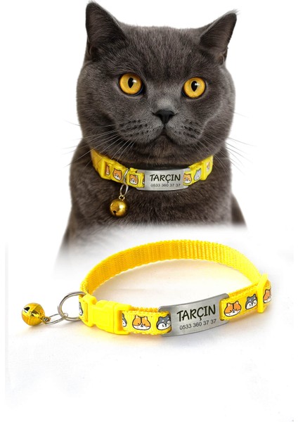 Sallanmayan Tasma Künye Isimli Kedi Tasması