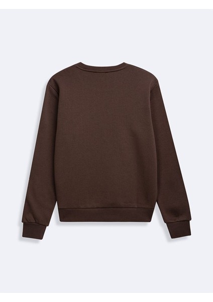 Panece Sweatshırt fiyatları