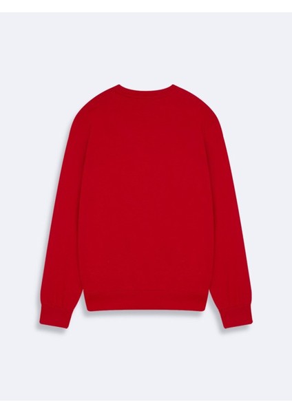Lodıta New Sweatshırt fiyatları