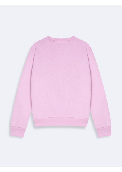 Panece Sweatshırt fiyatları