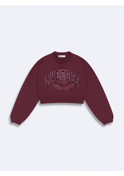 Lenosa Sweatshırt fiyatları