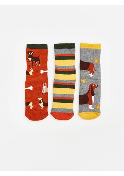 Desenli Erkek Çocuk Havlu Soket Çorap 3'lü (W5)