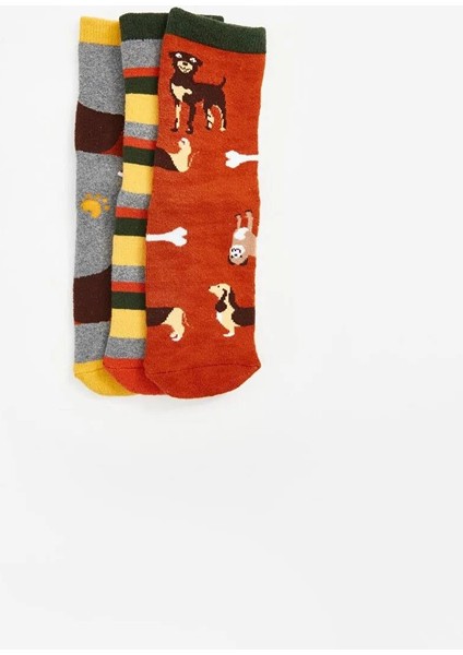 Desenli Erkek Çocuk Havlu Soket Çorap 3'lü (W5) fiyatları