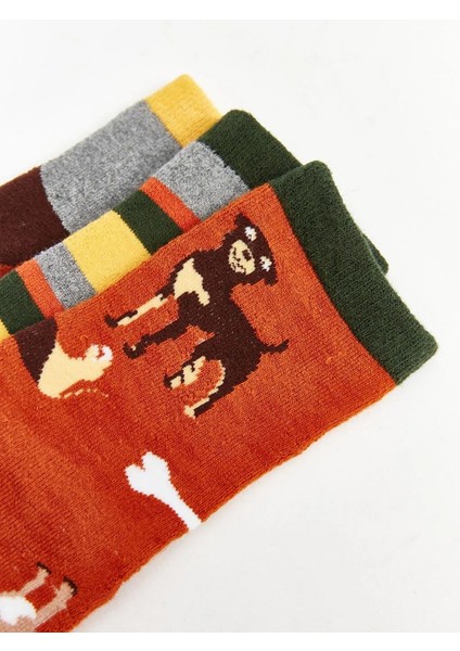 Desenli Erkek Çocuk Havlu Soket Çorap 3'lü (W5) modelleri