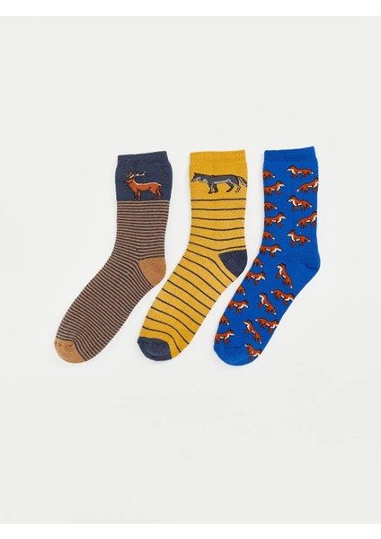 Baskılı Erkek Çocuk Havlu Soket Çorap 3'lü (W5)
