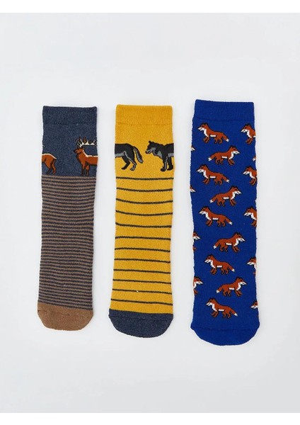 Baskılı Erkek Çocuk Havlu Soket Çorap 3'lü (W5) fiyatları