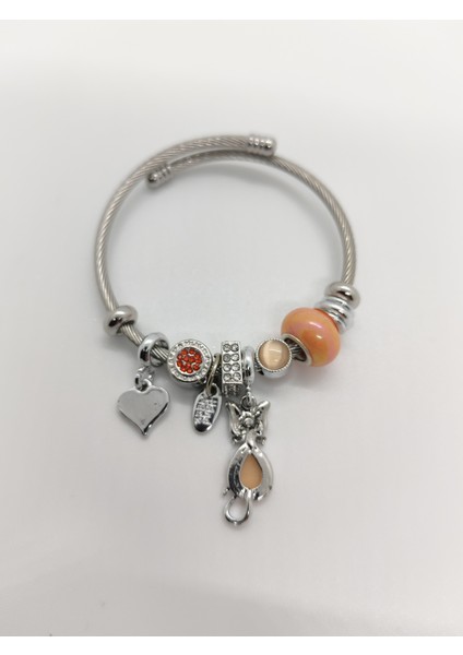 Charm Çelik Bileklik Silver Kalpli Somon fiyatları