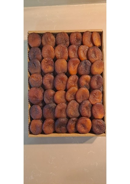 1 kg Malatya Güneş Kurusu Kayısı (Gün Kurusu) Büyük Boy fiyatları