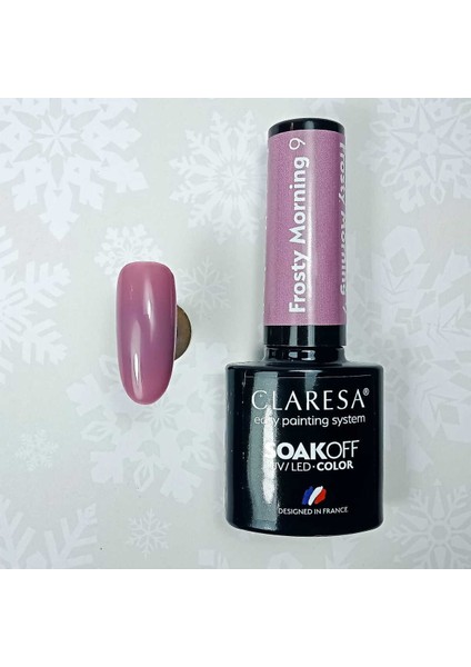 Kalıcı Oje Frosty Morning 9 Açık Patlıcan Moru 5gr modelleri