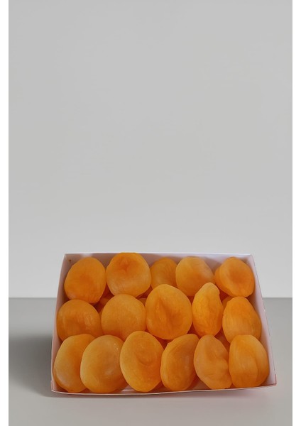 Malatya Sarı Kayısı Büyük Boy fiyatları