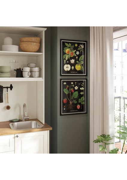 Knoppang Çerçeveli Resim Eski Botanik Meyve Tabloları 40 x 50 Cm fiyatları