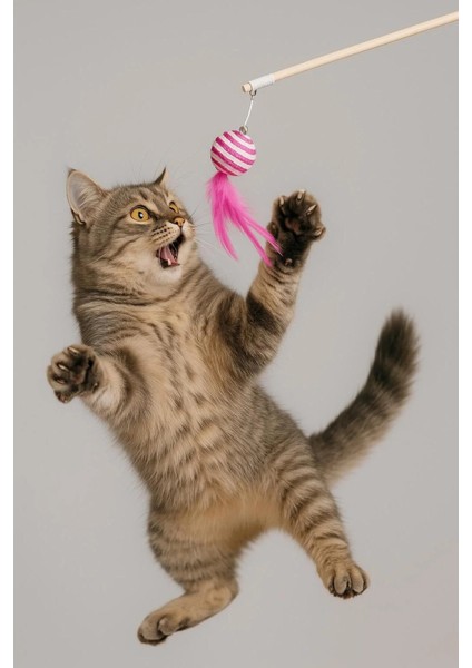 Tüylü Sesli Kedi Oyun Oltası | Sarmal Tasarım Eğlenceli Kedi Oyuncağı