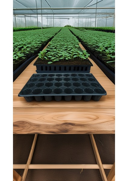 32 Göz Viyol Fide Tohum Çiçek Yetiştirme Viyolü 20 Adet (31X51)