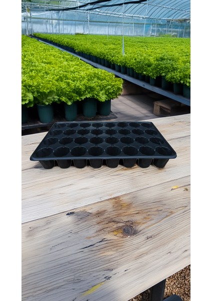 32 Göz Viyol Fide Tohum Çiçek Yetiştirme Viyolü 20 Adet (31X51) fiyatları