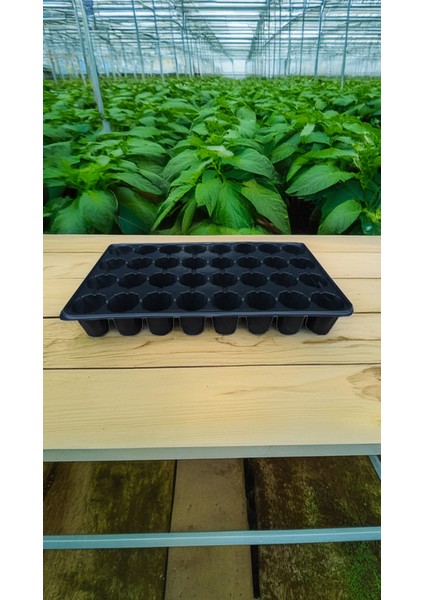 32 Göz Viyol Fide Tohum Çiçek Yetiştirme Viyolü 20 Adet (31X51) modelleri